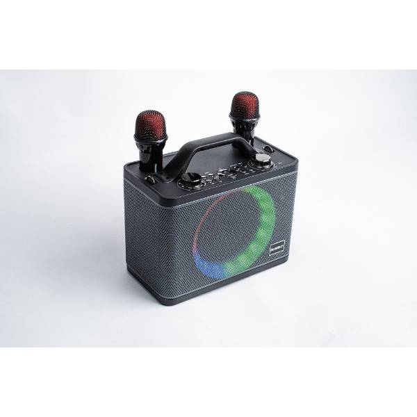 HT-202 ÇİFT MİKROFONLU SPEAKER resmi